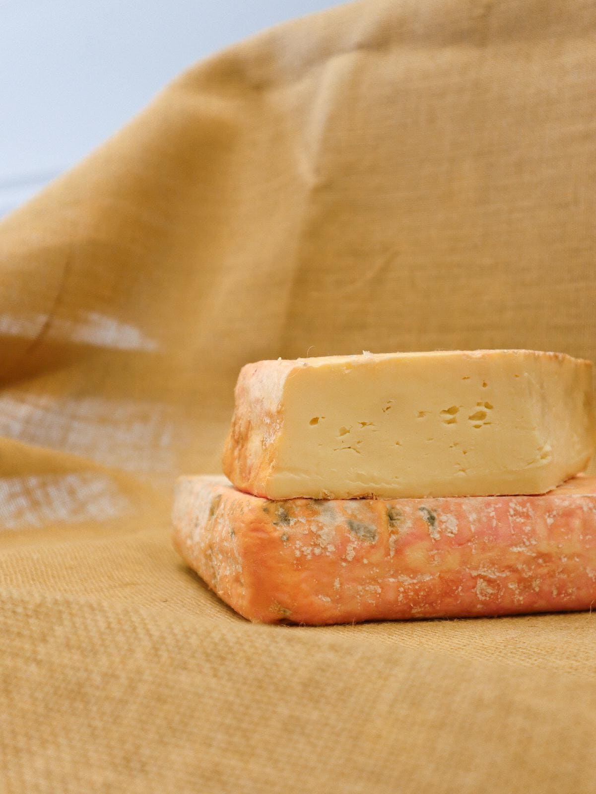 Taleggio